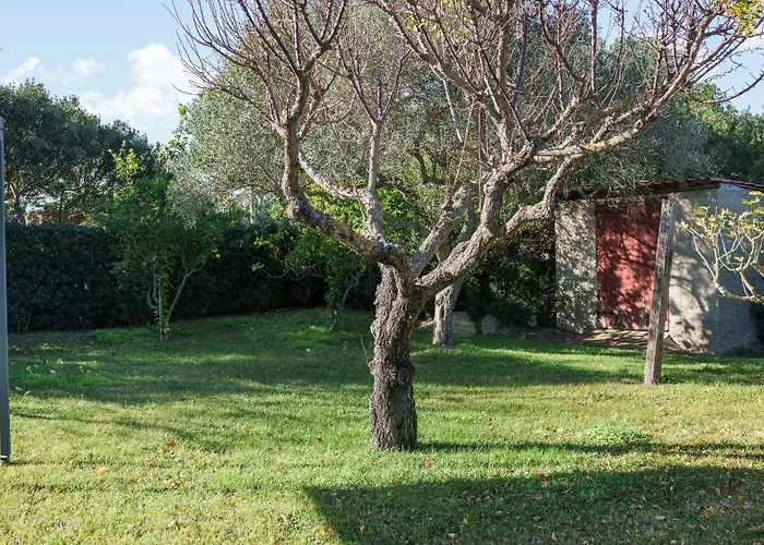 Acqua E Tramonto Appartement
